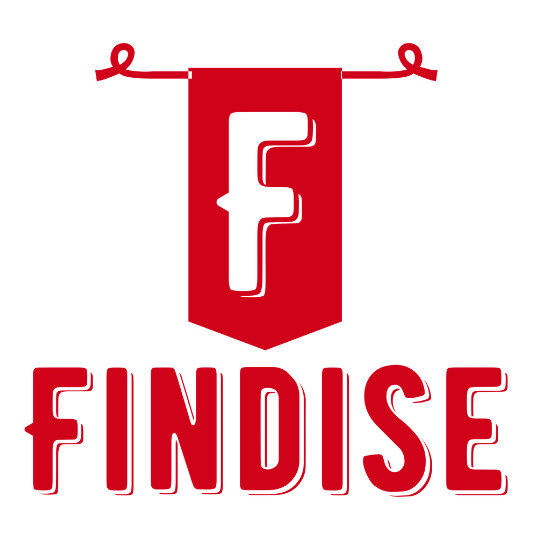 FINDISE logo